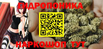 метамфетамин Бердск
