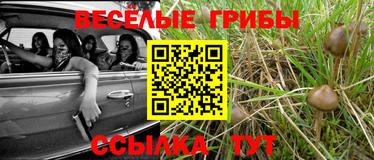 Псилоцибиновые грибы GOLDEN TEACHER  Вход с VPN  Симферополь 