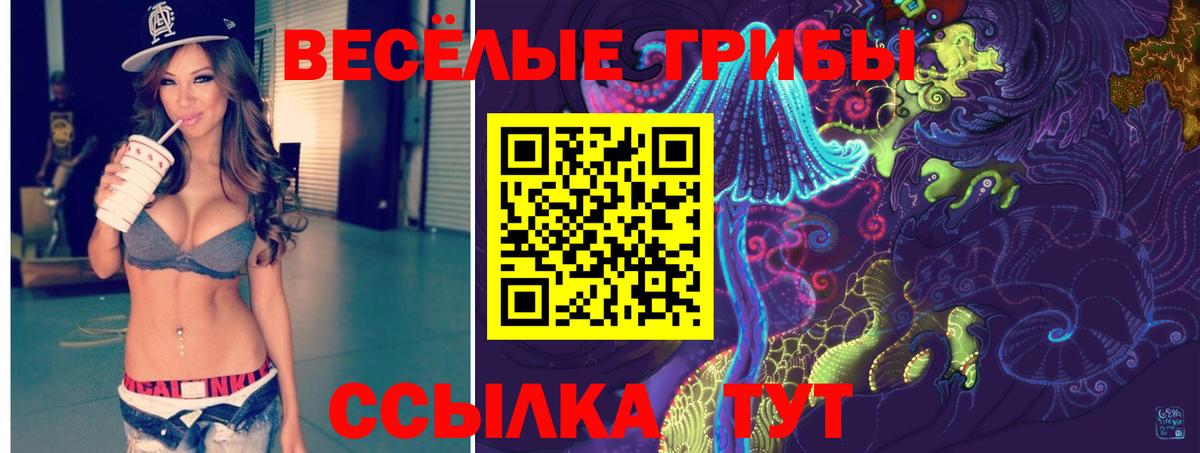Псилоцибиновые грибы Psilocybine cubensis Симферополь